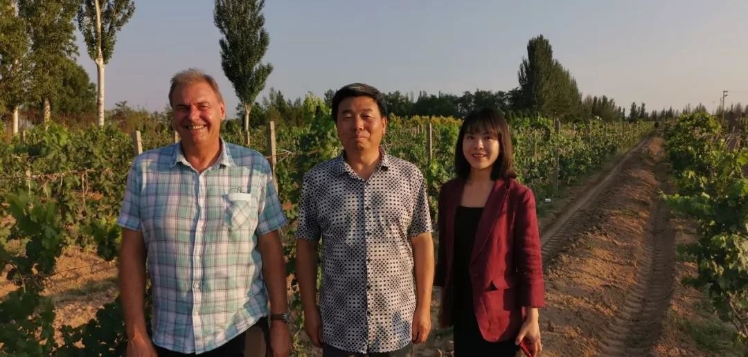 Château Chanson winemaking team : Bordeaux consultant Patrick Soye, Wang Ping Lai and Gao Yuan